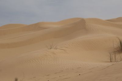 Tunisie: Tembaïne