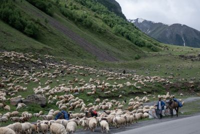Vallée de Truso