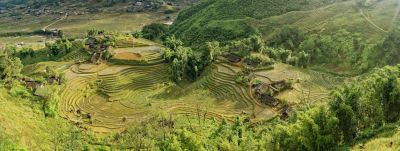Vietnam