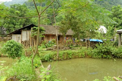 Vietnam
