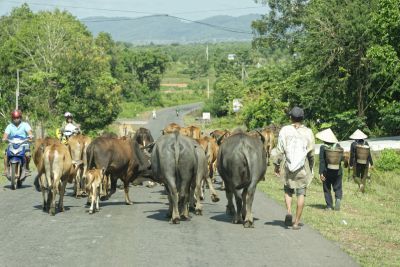 Vietnam