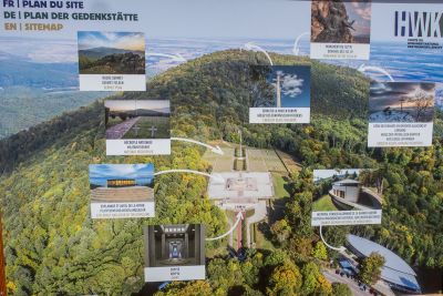 Vosges